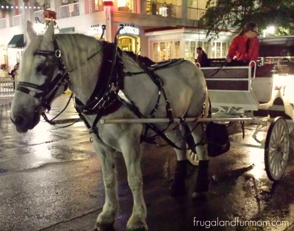 Horse Drawn Carriage in Downtown Celebration Now Snowing